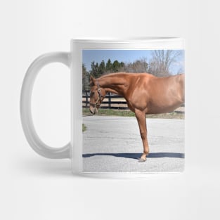 Flaxen Mug